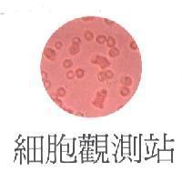 細胞觀測站及圖