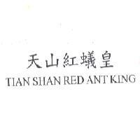天山紅蟻皇 TIAN SHAN RED ANT KING