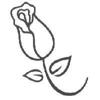花圖