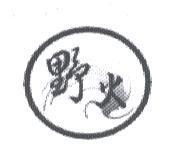 野火設計圖