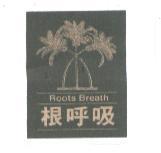 根呼吸 Root Breath 及圖