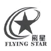 飛星 FLYING STAR 及圖