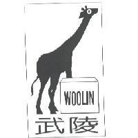 武陵 woolin 及圖