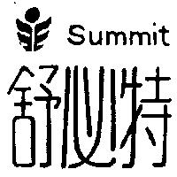 舒必特及圖形 SUMMIT 