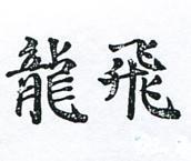 飛龍(禁止處分)
