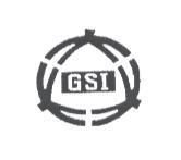 GSI 及圖