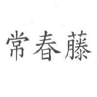 常春藤