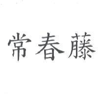 常春藤
