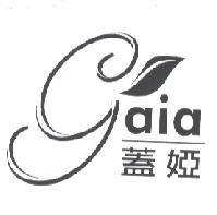 蓋婭 gaia 設計圖