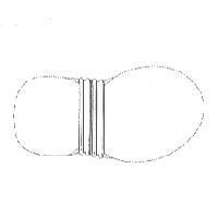 Three-Dimensional Shoe Design