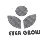 EVER GROW 及圖