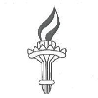 Torch Design