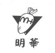 明華及圖
