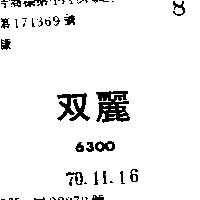 雙麗 6300