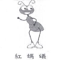 紅螞蟻及圖