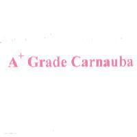 A+ Grade Carnauba