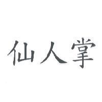 仙人掌