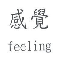 感覺 feeling