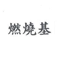 燃燒基