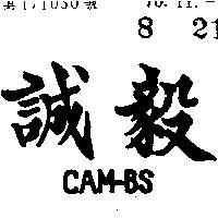 誠毅 CAM – BS