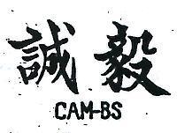 誠毅 CAM – BS 