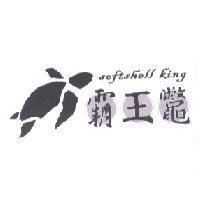 霸王鼈 softshell king 及圖