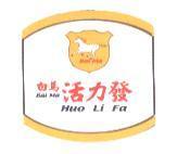 白馬活力發 BAI MA HUO LI FA 及圖
