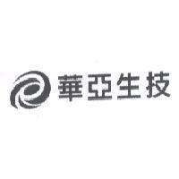 華亞生技及圖