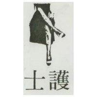 護士及圖