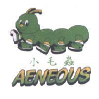 小毛蟲 AENEOUS 及圖