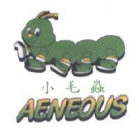 小毛蟲 AENEOUS 及圖