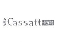 cassatt 卡莎特