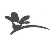 木棉花設計圖