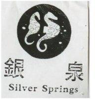 銀泉 SILVER SPRINGS 及圖