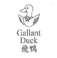 飛鴨 Gallant Duck 及圖