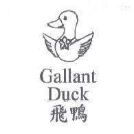 飛鴨 Gallant Duck 及圖