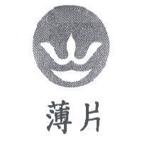 薄片及圖