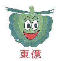 東億及圖