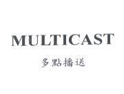 MULTICAST 多點播送