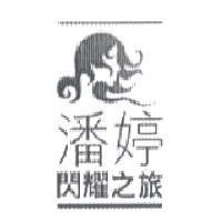 潘婷閃耀之旅 and device