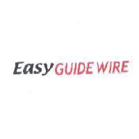 Easy GUIDE WIRE