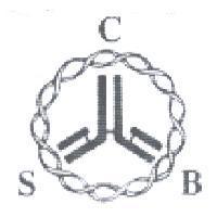 CSB 及圖