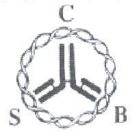 CSB 及圖