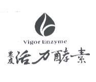 農友活力酵素 VIGOR ENZYME 及圖