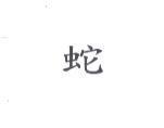 蛇