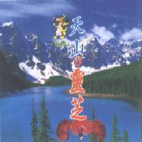 天山 の 靈芝 玖龍及圖