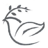 小白鴿設計圖