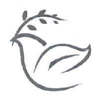小白鴿設計圖