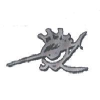 旗魚設計圖