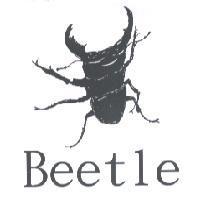 Beetle 及圖